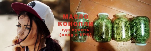 гидра Арсеньев