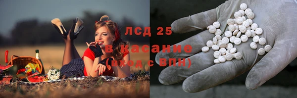 гидра Арсеньев