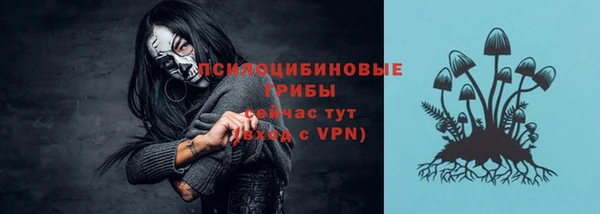 гидра Арсеньев
