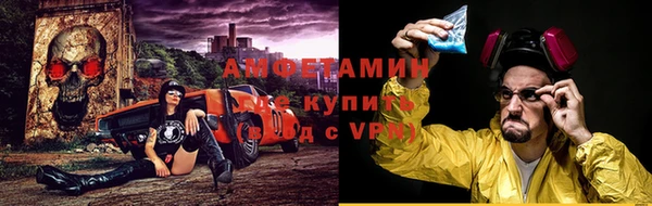 гидра Арсеньев