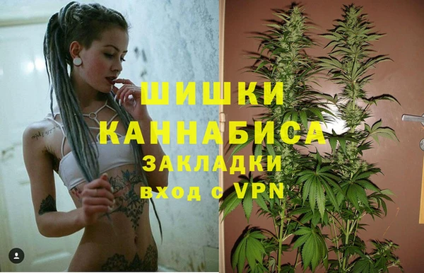гидра Арсеньев